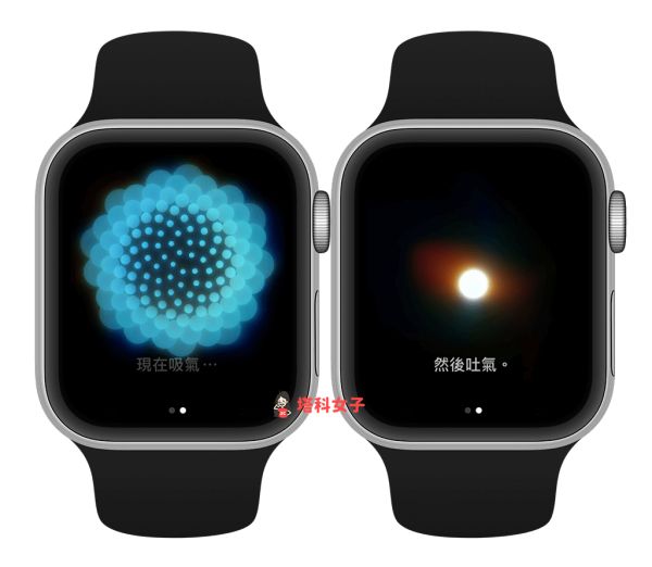 Apple Watch 正念：呼氣與吐氣