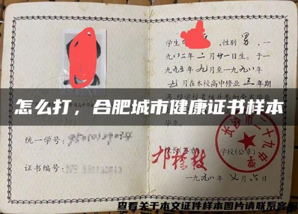 怎么打，合肥城市健康證書樣本