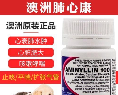 狗狗心肺健康檢查，了解多少錢？（寵物心肺健康為何重要？如何進(jìn)行檢查？）