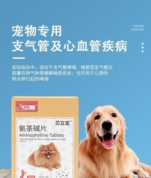 狗狗心肺健康檢查，了解多少錢？（寵物心肺健康為何重要？如何進(jìn)行檢查？）