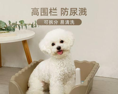 白色狗便便的健康秘密（從寵物的飲食習(xí)慣到健康檢查）