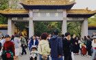 太夸张！0.5㎡是奢侈！无锡此刻……