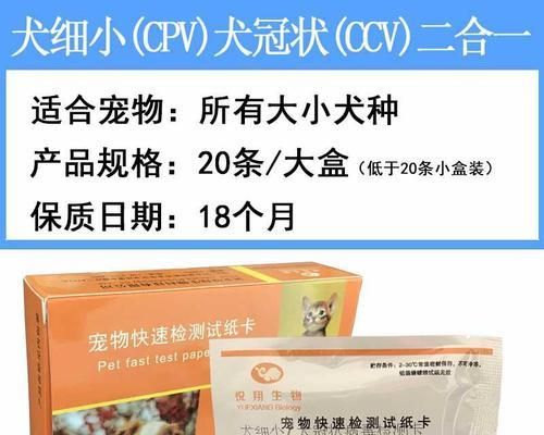 寵物主人必讀！如何用試紙檢測狗狗的健康（教你如何正確使用狗狗尿液檢測紙）