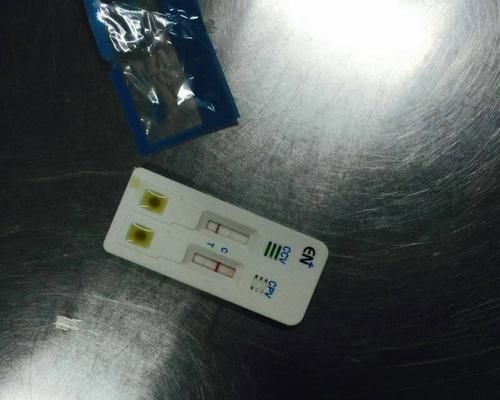 寵物主人必讀！如何用試紙檢測狗狗的健康（教你如何正確使用狗狗尿液檢測紙）
