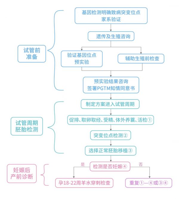 56981670281433251