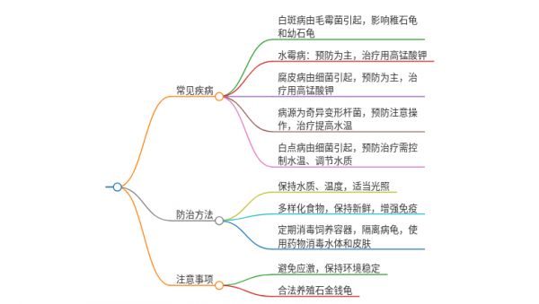 南石金钱龟有什么病