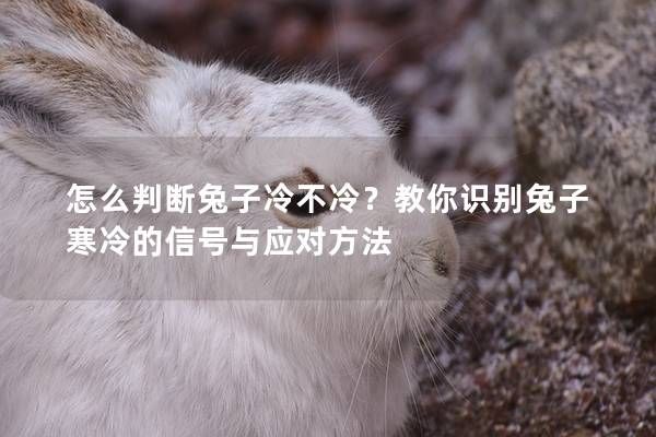 怎么判斷兔子冷不冷？教你識別兔子寒冷的信號與應(yīng)對方法