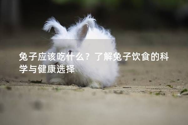 兔子應(yīng)該吃什么？了解兔子飲食的科學(xué)與健康選擇