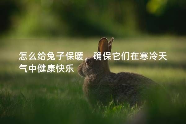 怎么給兔子保暖，確保它們?cè)诤涮鞖庵薪】悼鞓?lè)