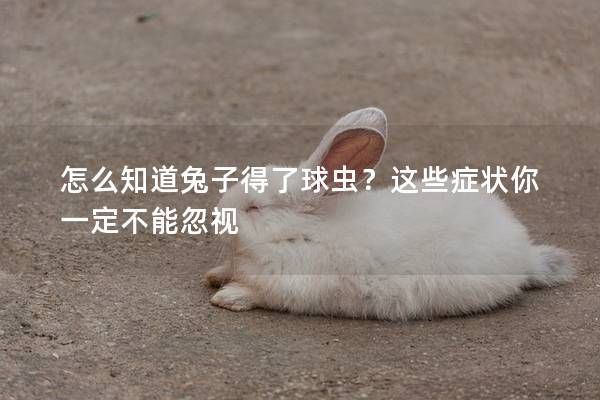 怎么知道兔子得了球蟲？這些癥狀你一定不能忽視