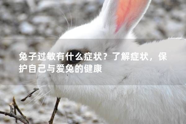 兔子過(guò)敏有什么癥狀？了解癥狀，保護(hù)自己與愛(ài)兔的健康