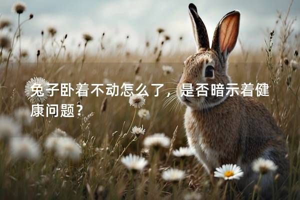 兔子臥著不動(dòng)怎么了，是否暗示著健康問題？