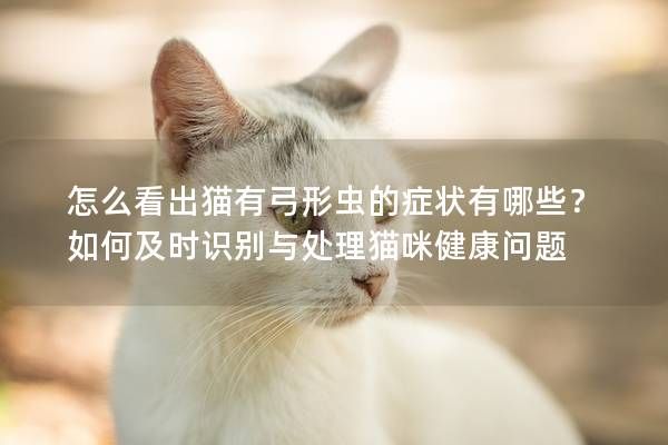 怎么看出貓有弓形蟲的癥狀有哪些？如何及時識別與處理貓咪健康問題