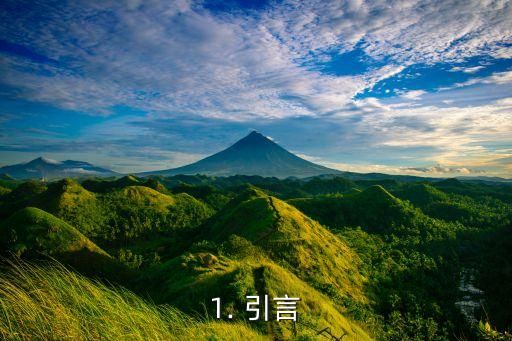 1. 引言
