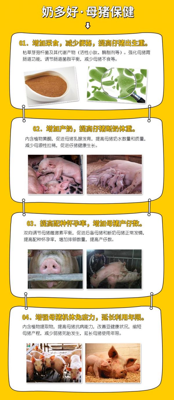 母豬保健調(diào)理母豬的亞健康狀態(tài)