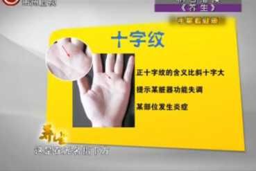 十字紋