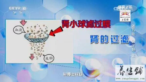 腎小球炎