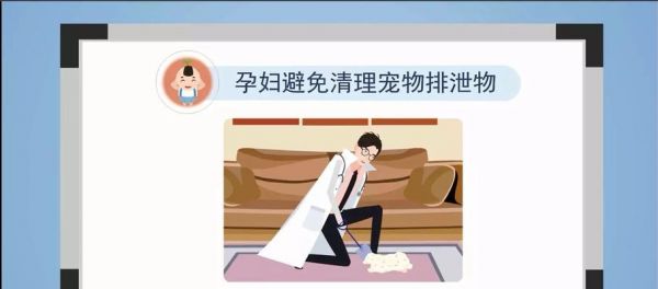 《茶杯犬的饲养技巧》（掌握这些技巧，让你的茶杯犬健康快乐）