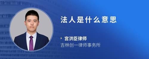 法人是什么意思