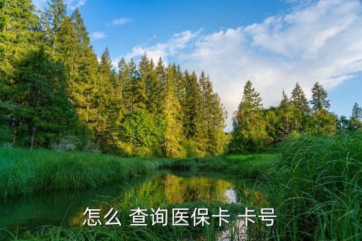 怎么 查询医保卡 卡号
