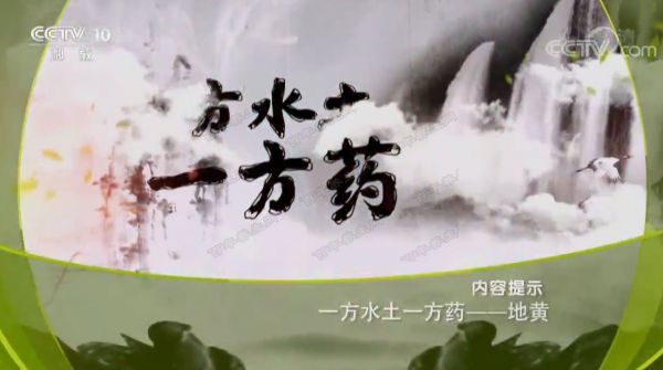 道地藥材用起來