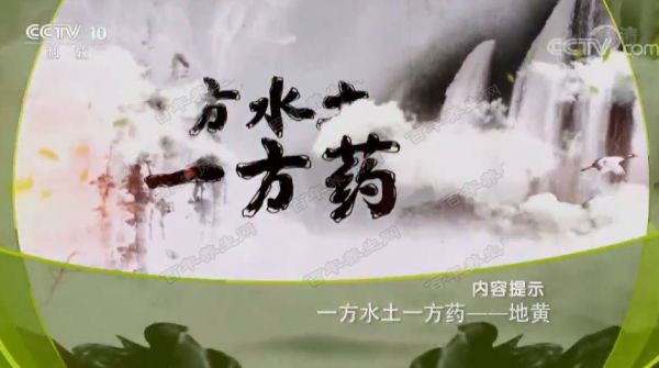 一方水土一方药-地黄