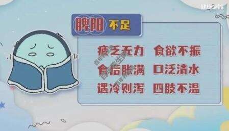 脾阳不足的表现