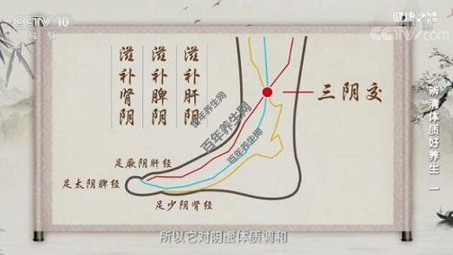 三陰交