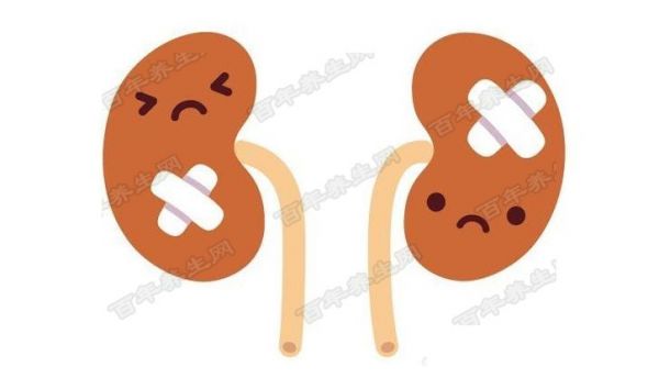 這樣補腎事半功倍