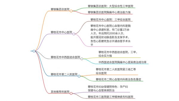 2025年四川攀枝花治療胸痛的醫(yī)院有哪些