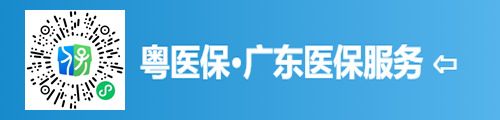粤医保·广东医保服务（小程序）