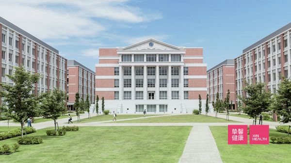 杏林大學(xué)全景圖