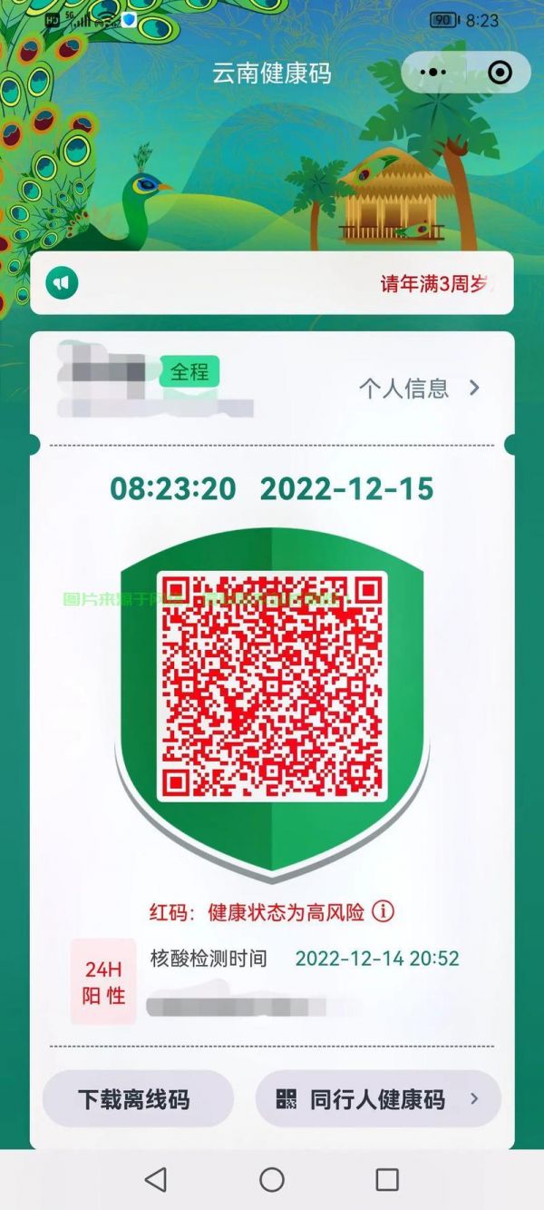 健康碼無(wú)法下載？別急！解決方法大揭秘！ 第1張