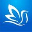 百灵健康手机端4.0.0 iOS版