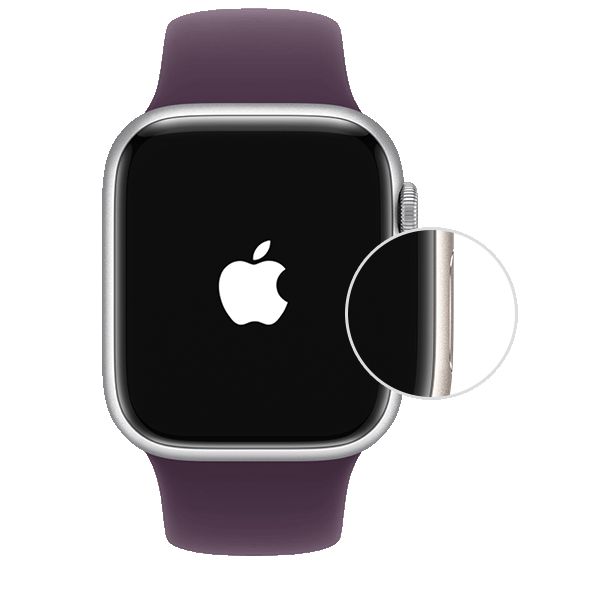 Apple Watch 处于开机过程中，并显示了侧边按钮的位置