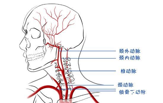 圖