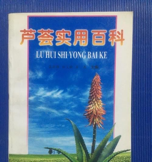蘆薈怎么吃最健康？最佳食用方法有哪些？ 第3張