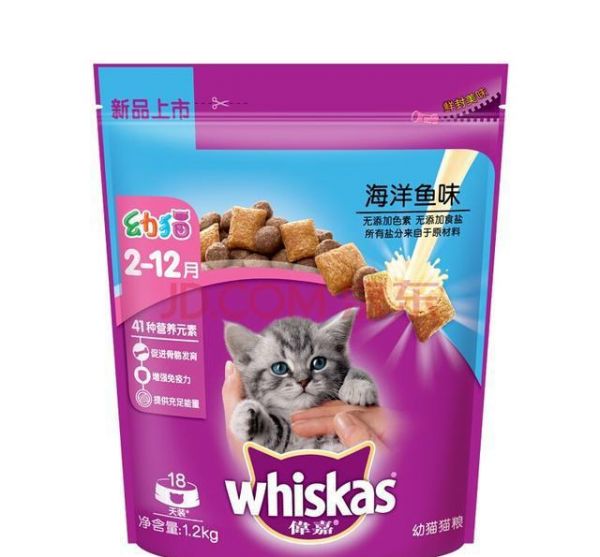 猫咪到底喝什么水？要怎么喝才健康？