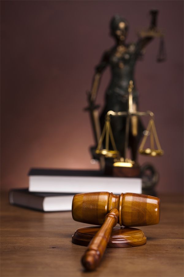 《揭示健康貓非法集資詐騙真相：如何防范這類陷阱》 圖2