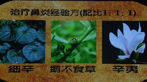 《健康之路》20160726:治療鼻炎經(jīng)驗(yàn)方、緩解鼻炎保健操、撳針治鼻炎、補(bǔ)肺化瘀開竅經(jīng)驗(yàn)方