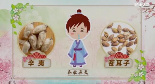 春季鼻炎用辛夷和蒼耳子