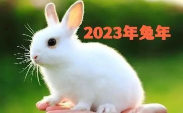 2023年局健康工作計(jì)劃優(yōu)秀8篇
