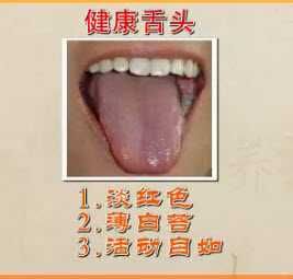20130415天天養(yǎng)生視頻和筆記:楊晉翔講觀舌色，丹紅蘭茶，桃麻粥