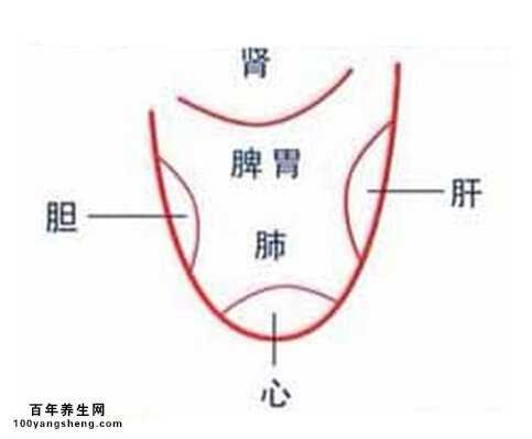 舌诊