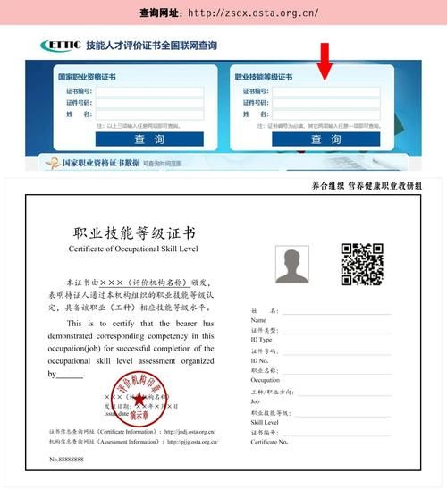 新健康管理師證報(bào)名網(wǎng)站：如何快速、高效、便捷地獲取健康管理師證書