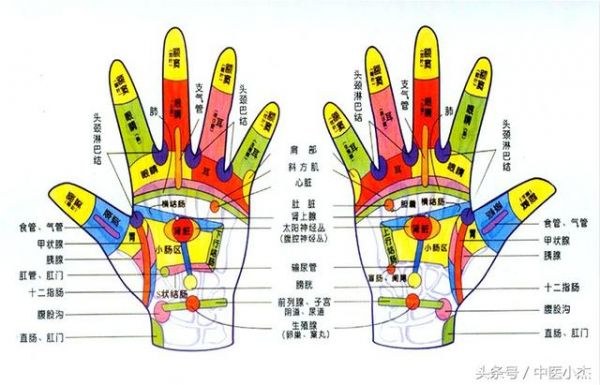 教你如何从手掌中看疾病，看身体的健康状态，准确率高达90%