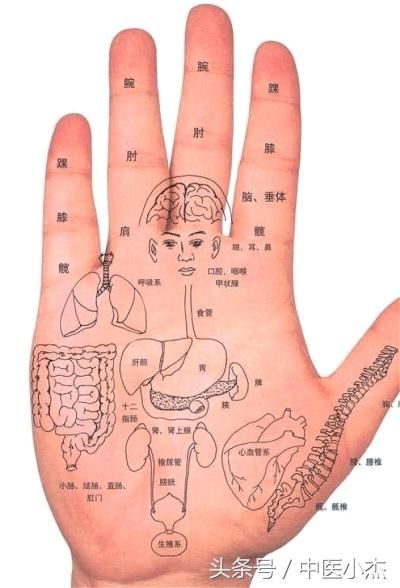 教你如何从手掌中看疾病，看身体的健康状态，准确率高达90%