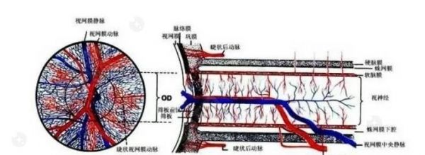 西安眼科比較好的醫(yī)院有哪些？來看排行榜前幾的正規(guī)收費(fèi)不貴之選