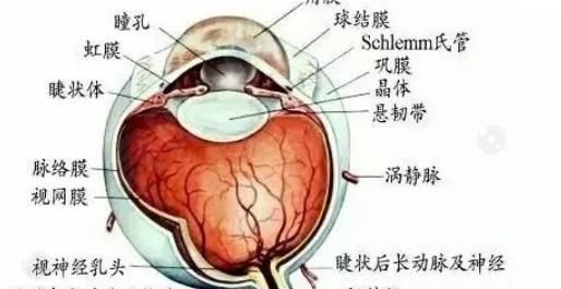 西安眼科比較好的醫(yī)院有哪些？來看排行榜前幾的正規(guī)收費(fèi)不貴之選