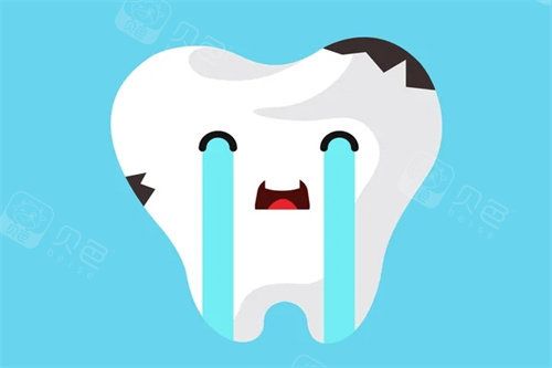 牙齿模型展示图